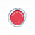  The Saem Jelly Blusher PK02 Scarlet Pink