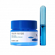  Round Lab Birch Juice Moisturizing lip balm