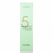  Masil 5Probiotics Scalp Scaling Shampoo